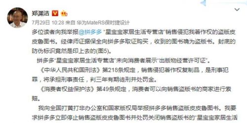 潘宏是否有刑事犯罪记录，深度探讨