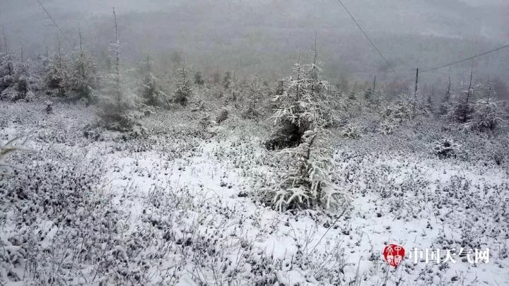 河南局地暴雪，影响与应对