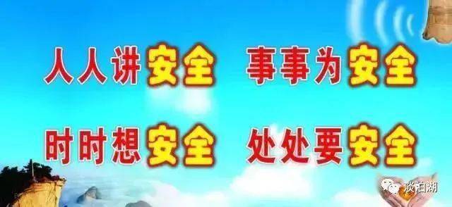 心有所向，道阻且长——追梦路上的坚持与期盼