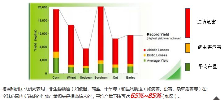 印度，削减部分进口税以推动发展