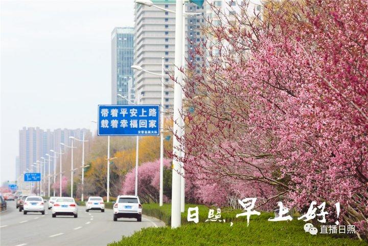 鸣潮剧情预告片揭秘，序曲之后的磅礴风暴！机电工程视角深度解读