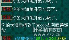 震惊！耗时八小时，竟将须弥玳龟置于死地？揭秘悲剧真相！