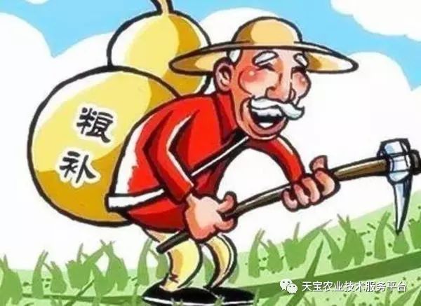 揭秘‘山东黑子’，真相背后的震惊与反思，你不可不知！